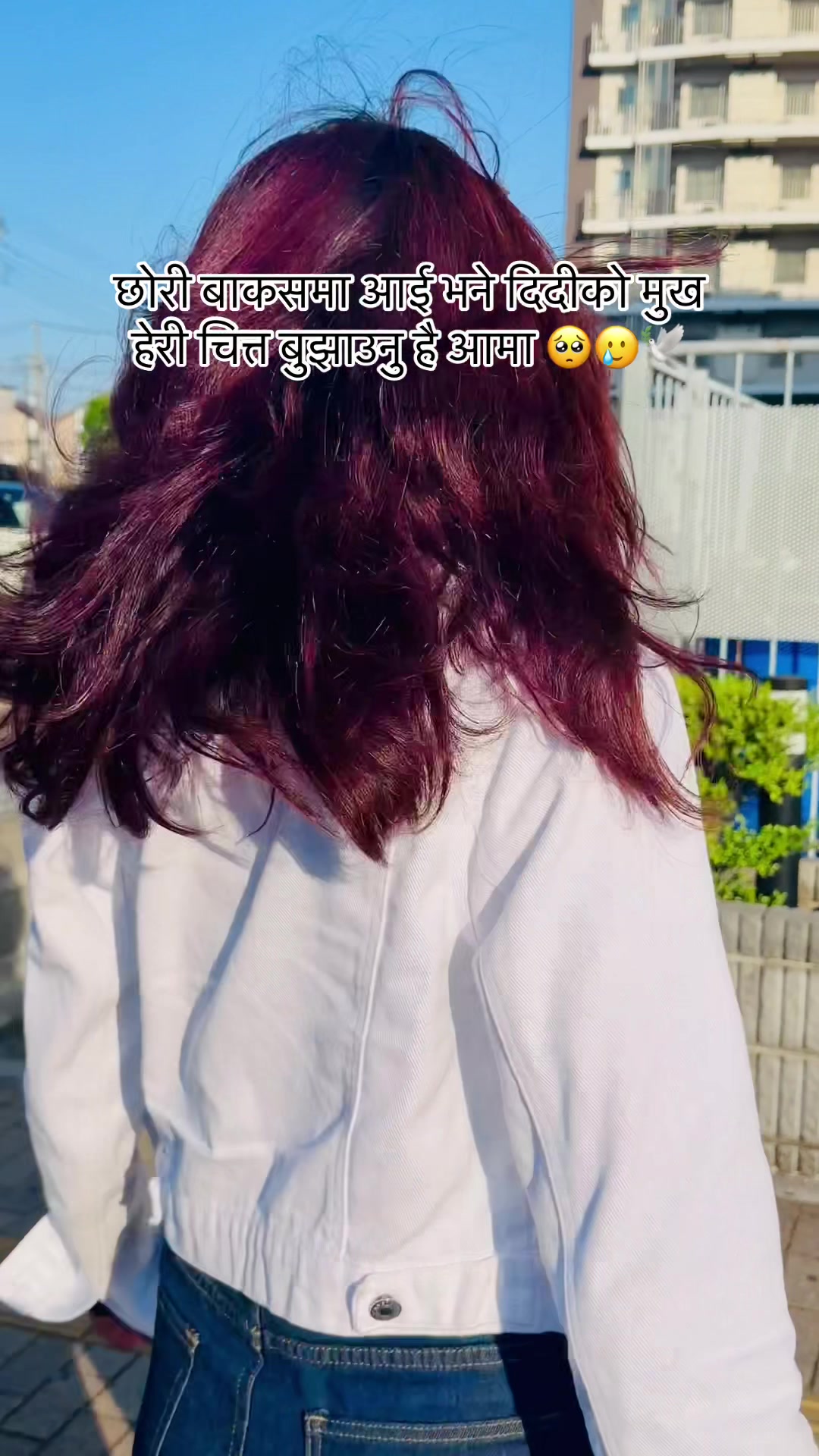 @🕊️