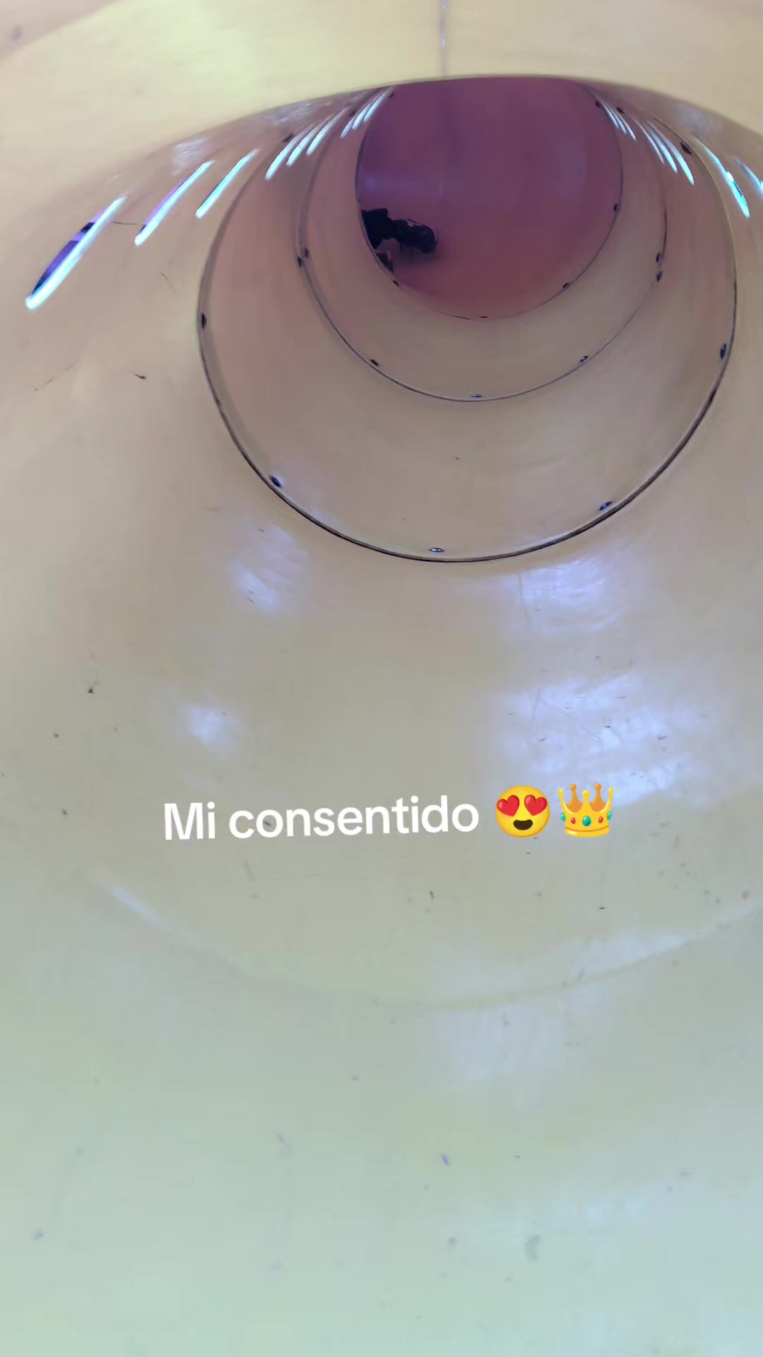 @👑💖VaNe💖👑