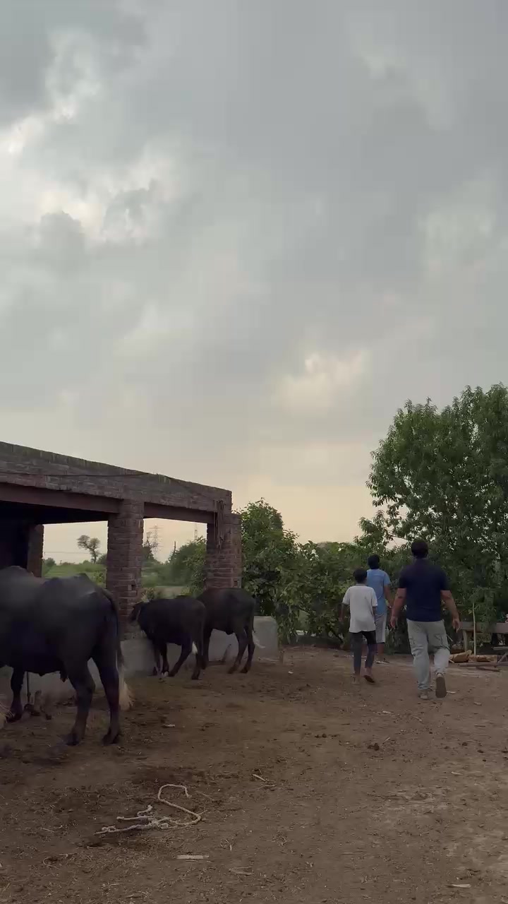 @Rana Numan Naru (Baba G)
