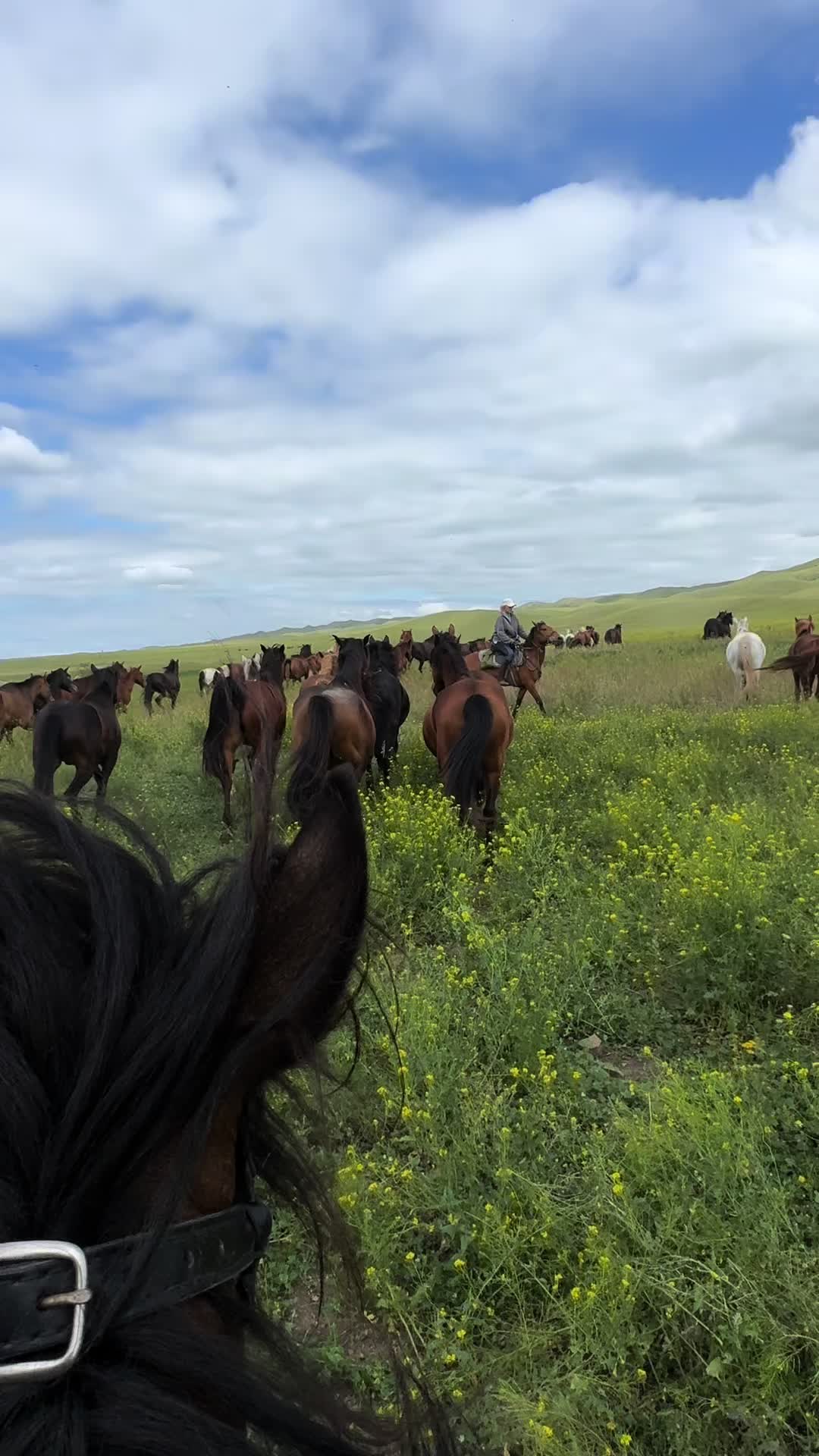 @TushetiTour