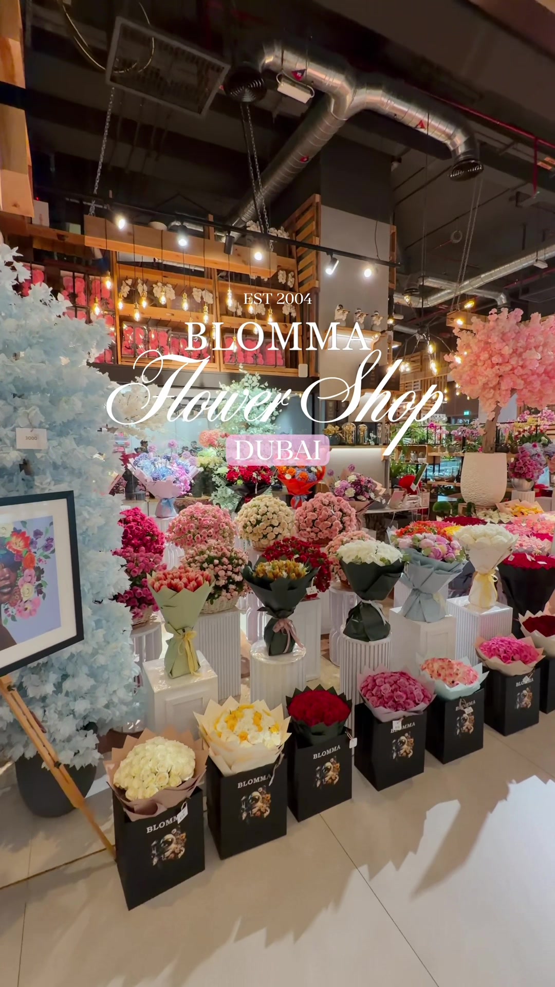 @BLOMMA CONCEPT