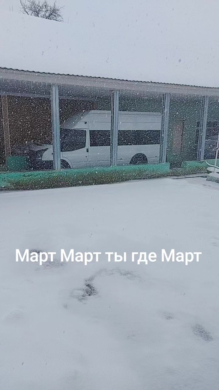@Мадина Мамаева