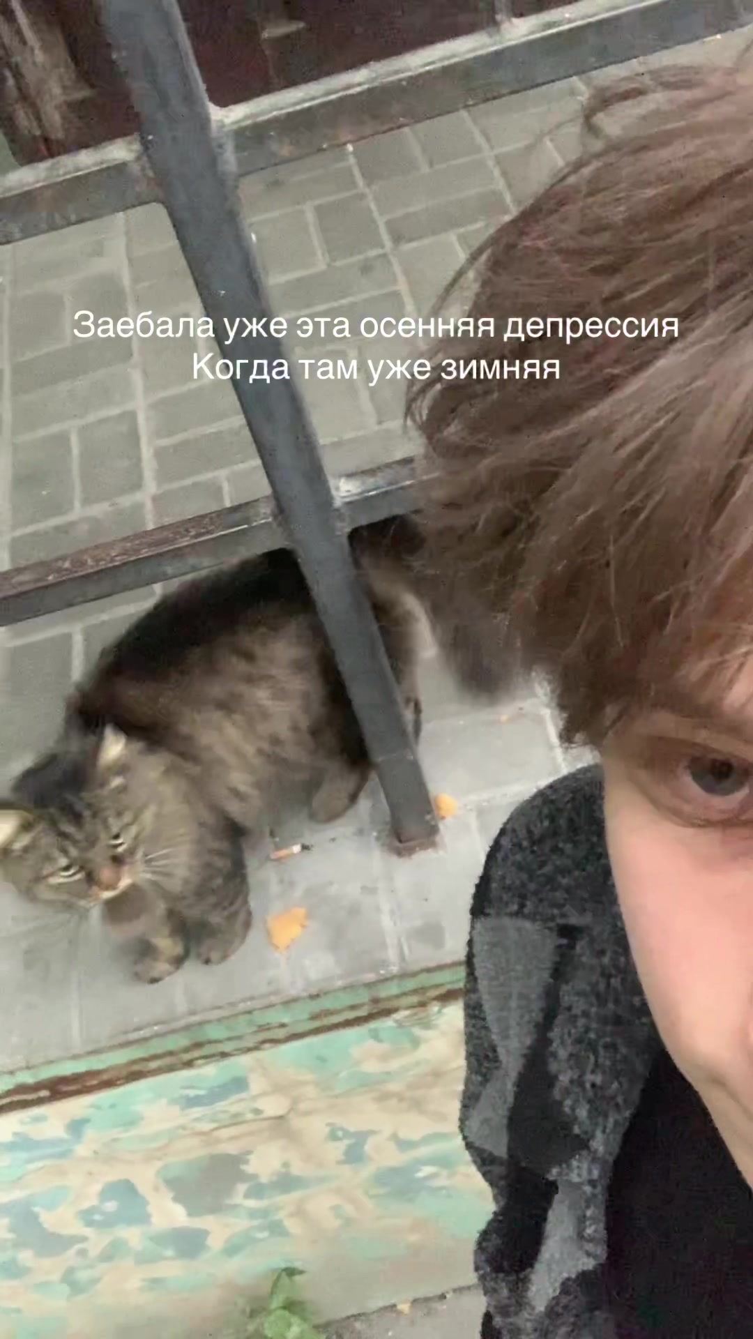 @Звездный прокат
