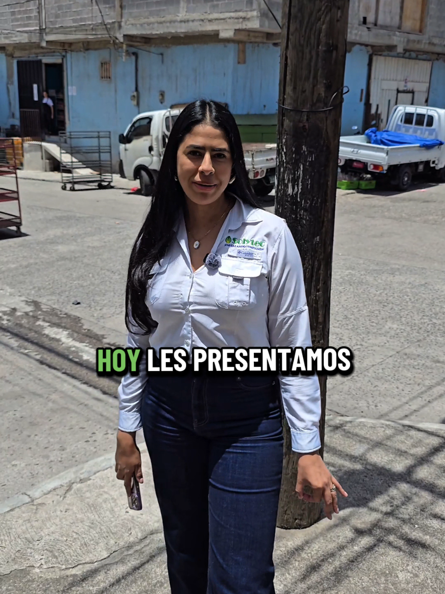 @Solytec