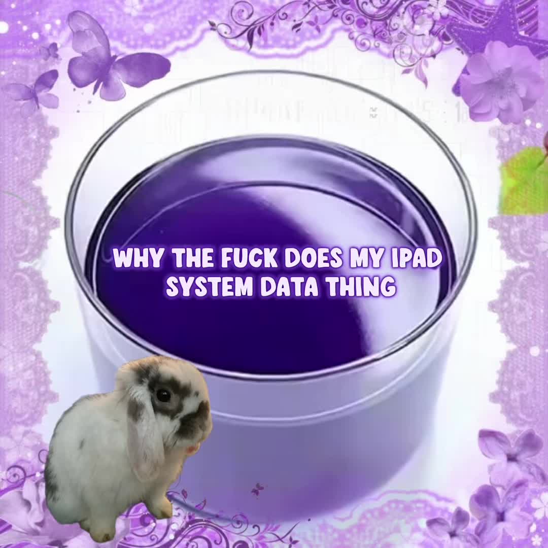 @Bunny