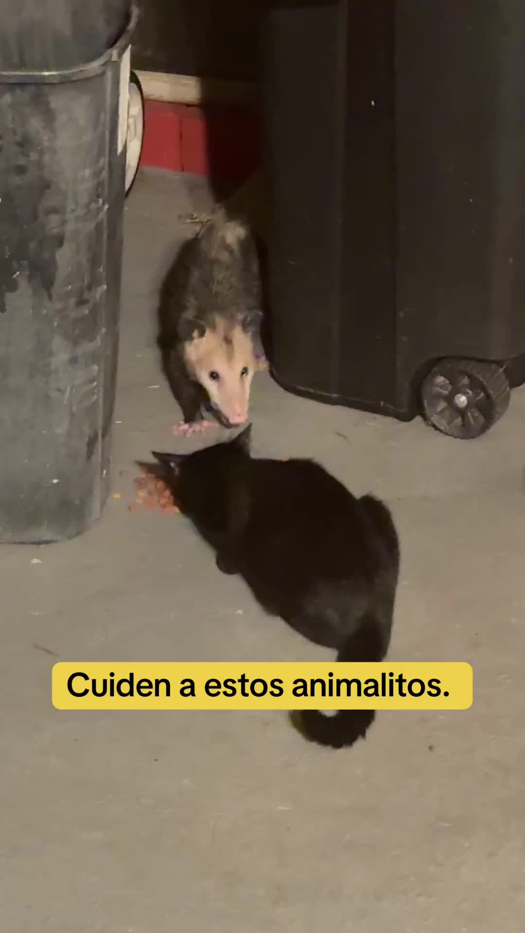 @mili_la_yorki
