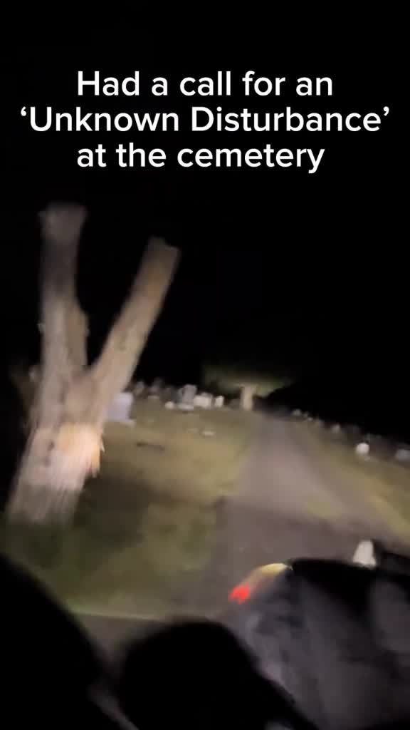 @༺🐺𝔚𝔬𝔩𝔣☯𝔎𝔦𝔫𝔤🐺༻