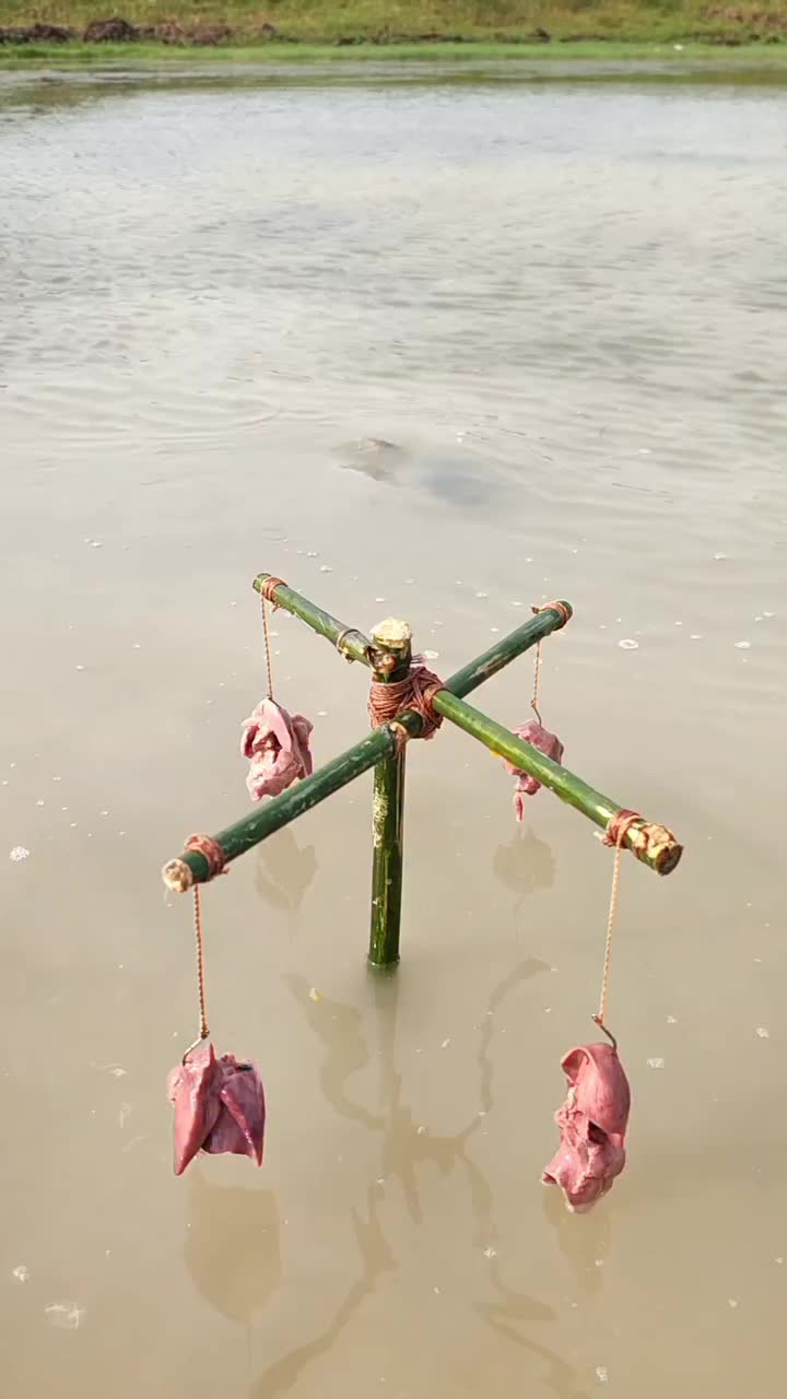 @Fishing