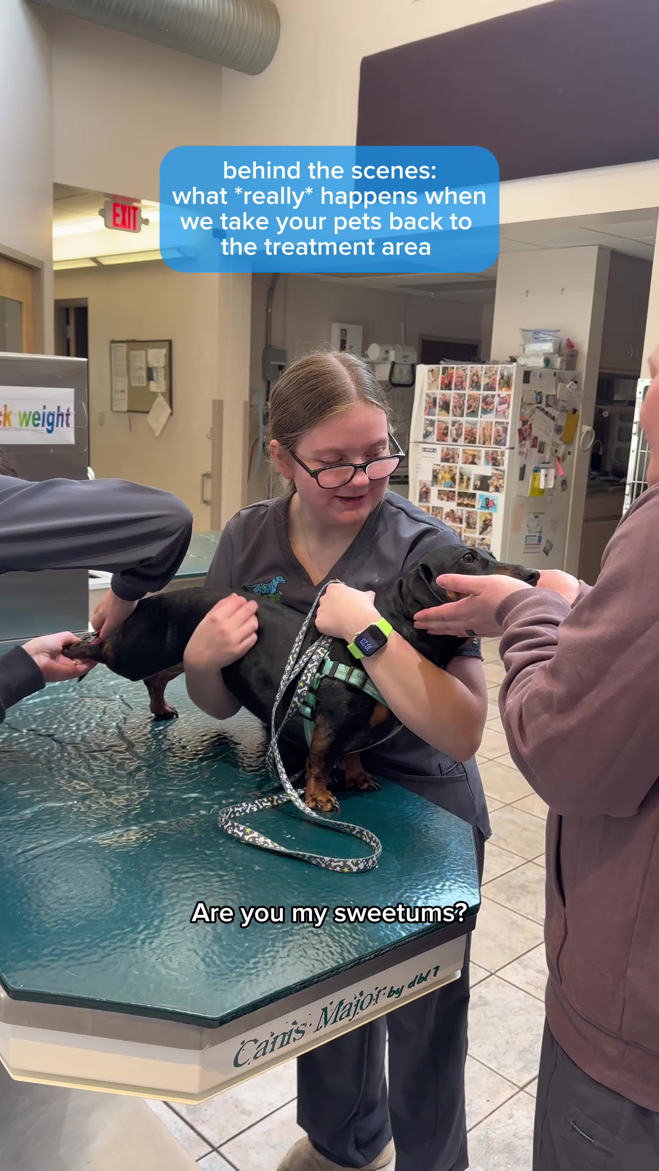 @Deer Park Veterinary Hospital