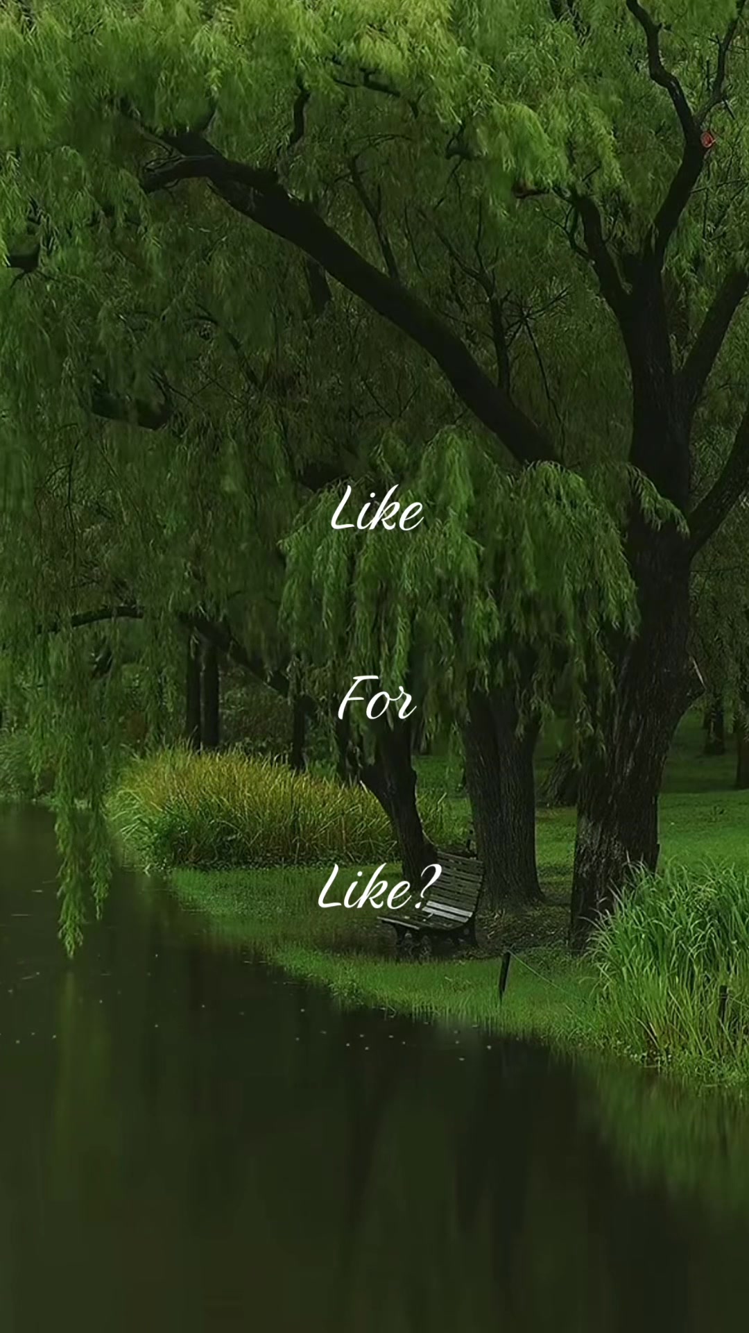 @mootsforevery0ne