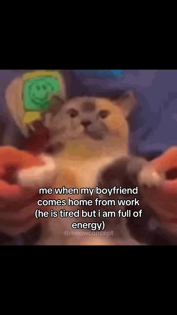 @meowconcept