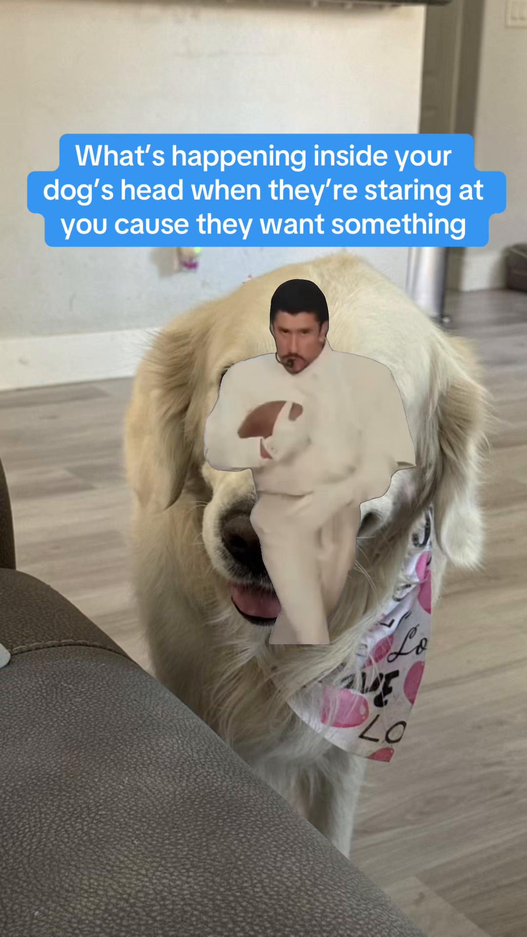 @Hulu, Luka & Luna
