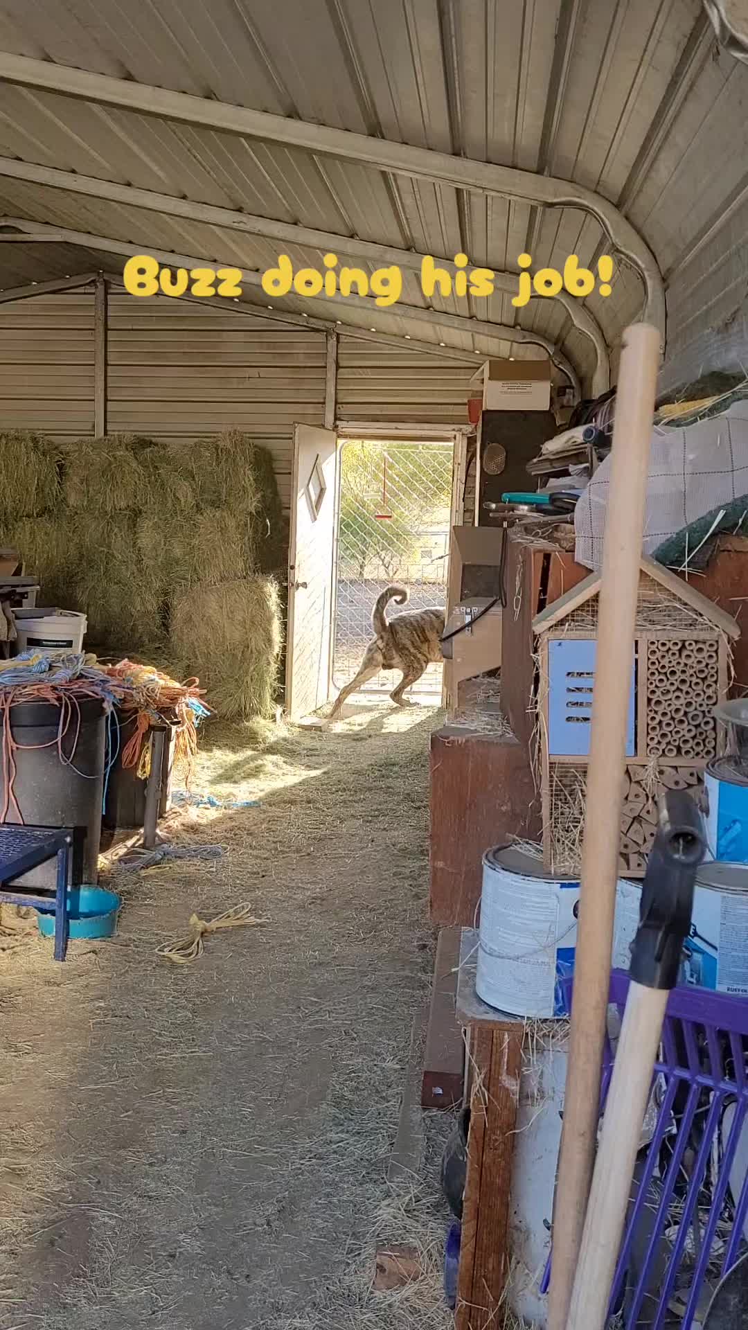@VioletHorizonsFarm