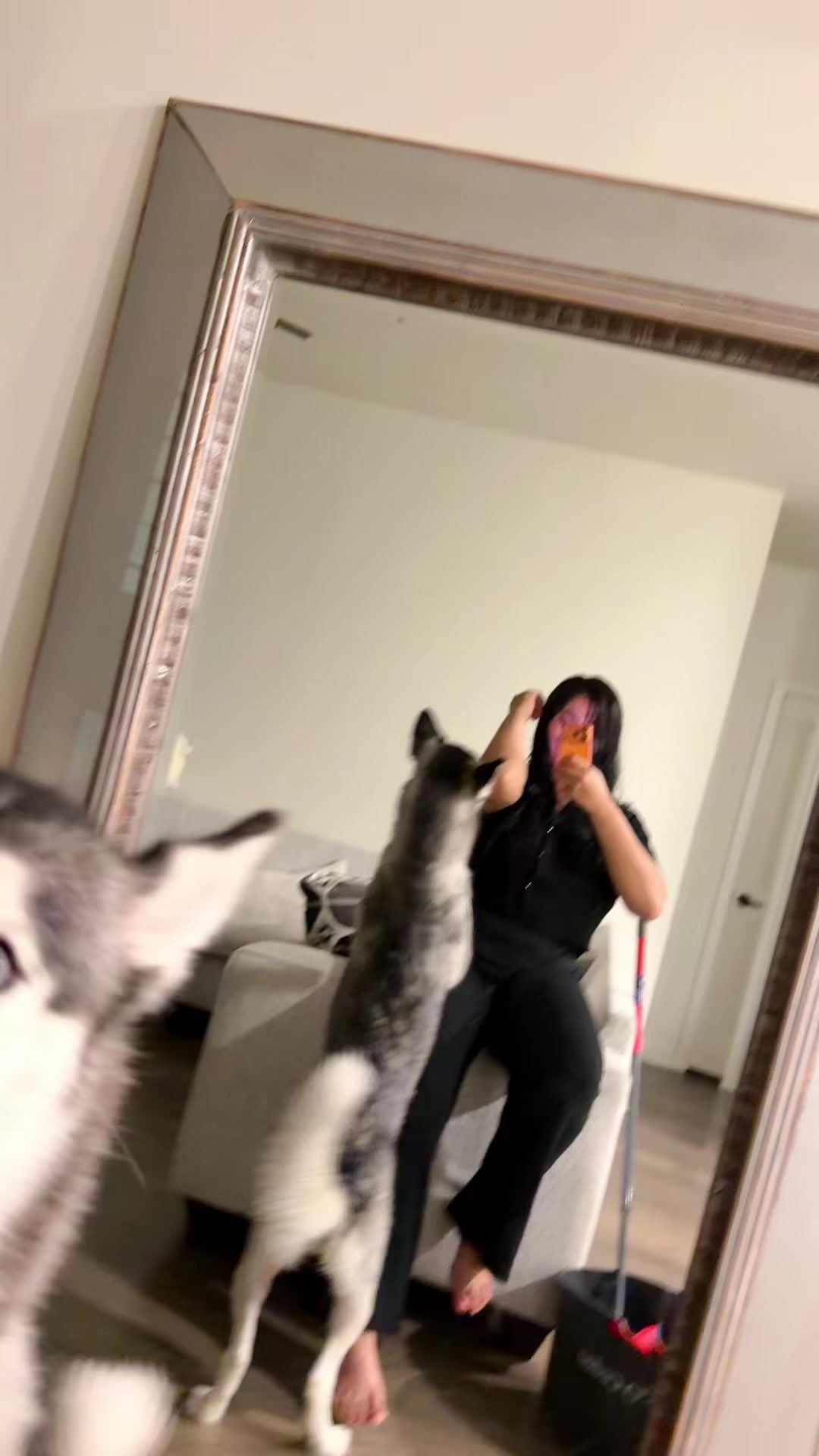 @Lorena 504