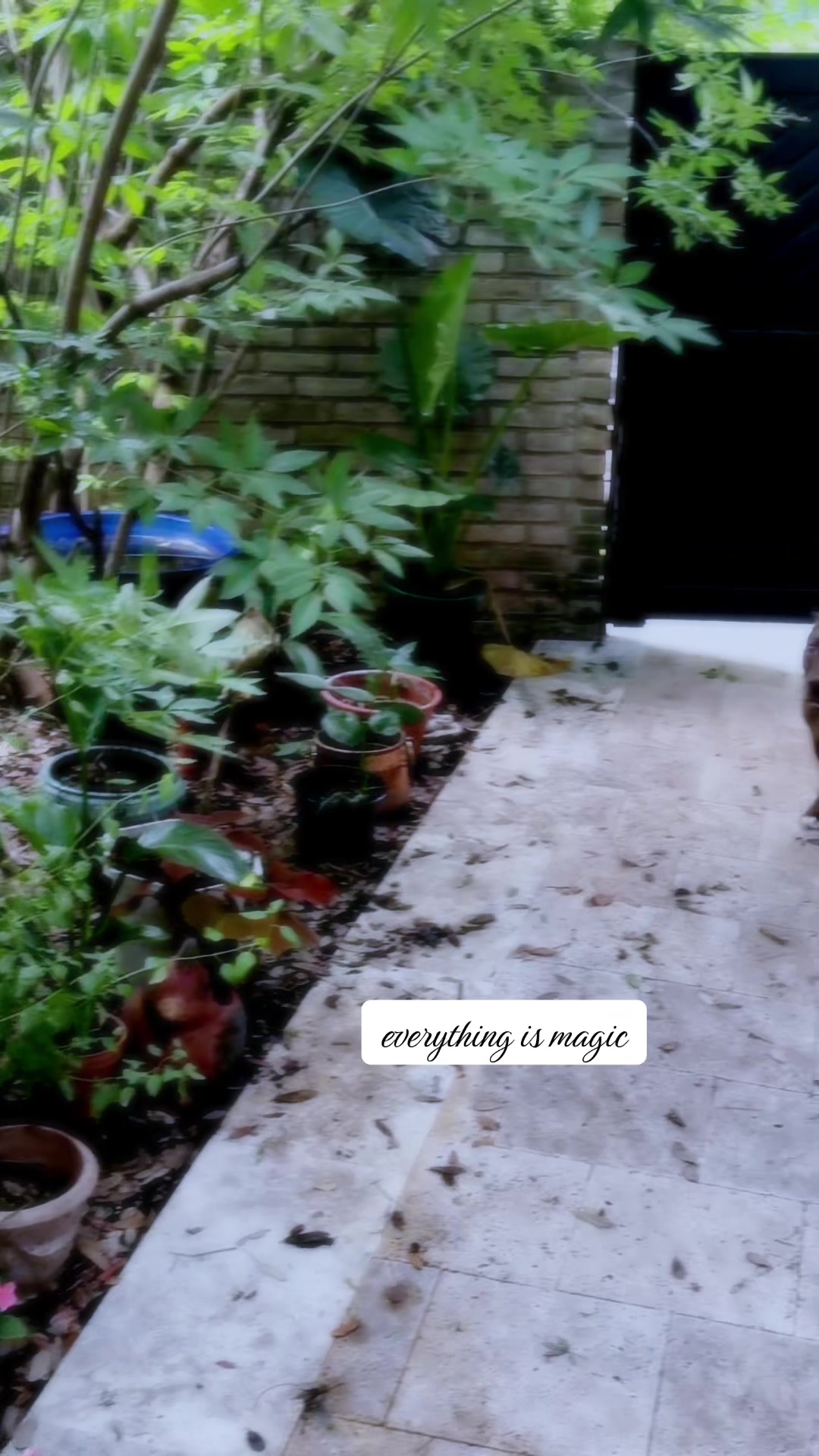 @Leah