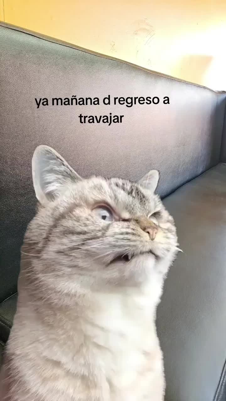 @DIOS CON MIGO