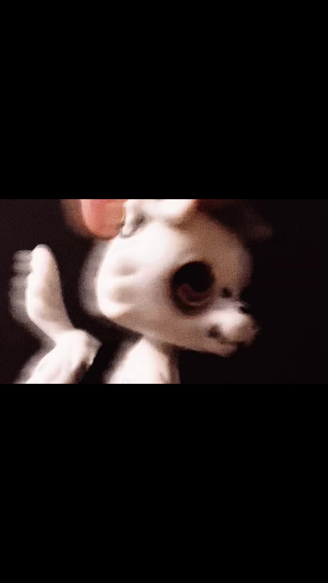 @kass ᶻ𝗓 𐰁
