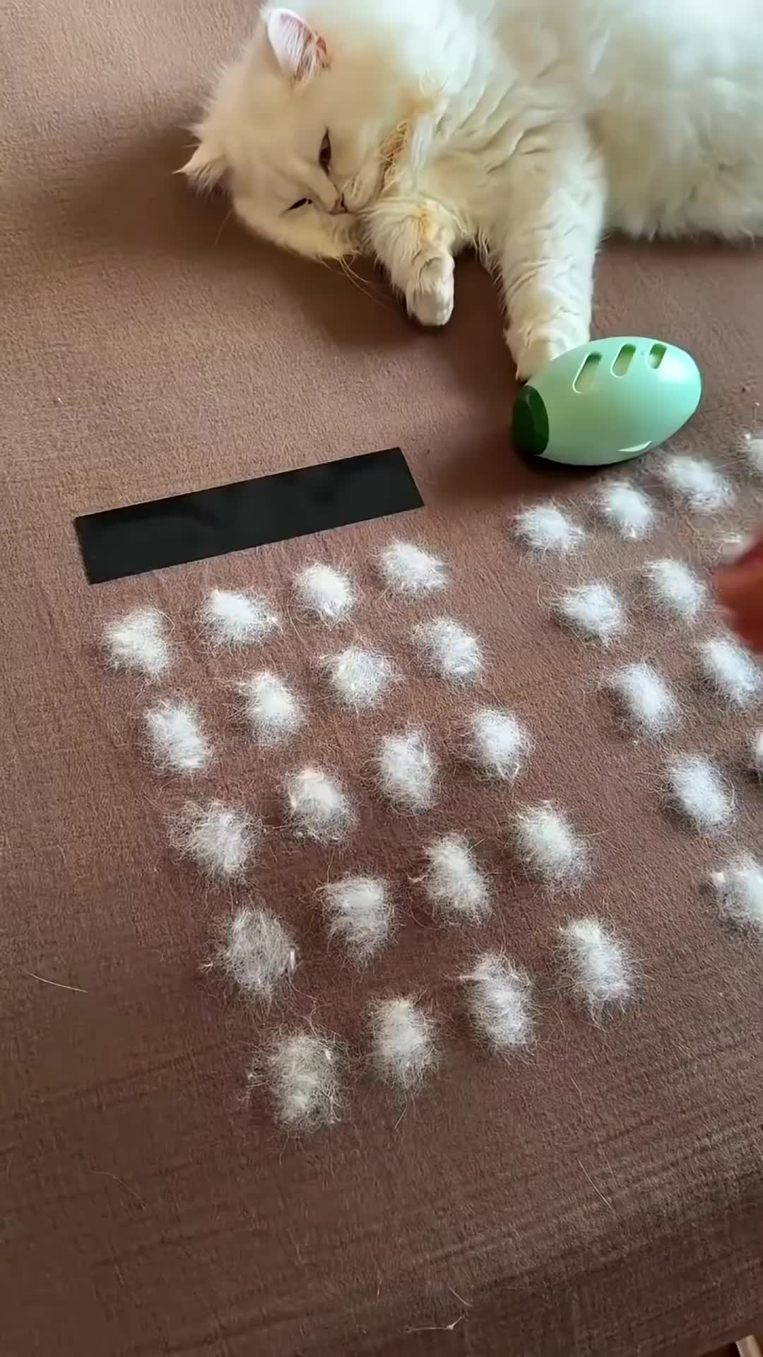 @Funny Highlights