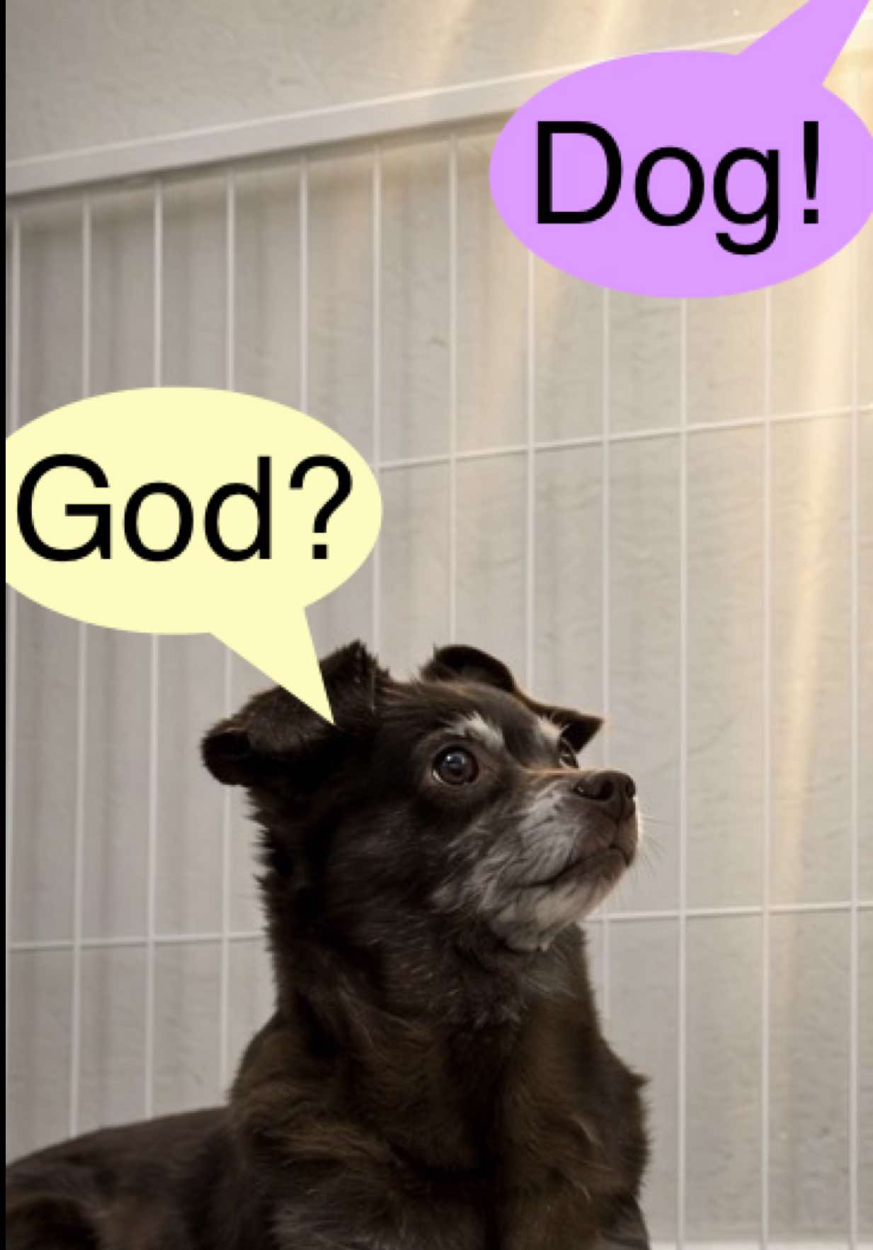 @The Fallen Ape-Theist