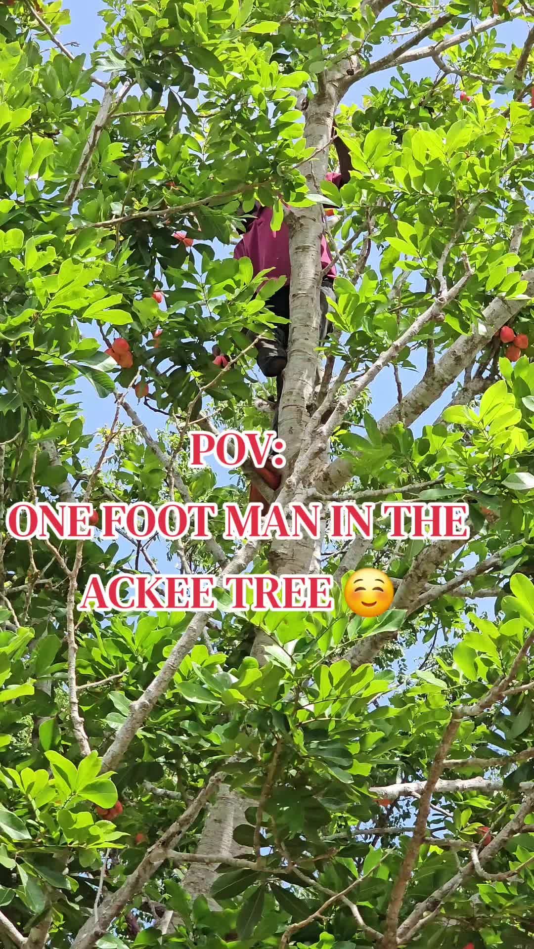 @1CeeGee13_ "ASHE" ❌️🇯🇲🇺🇲