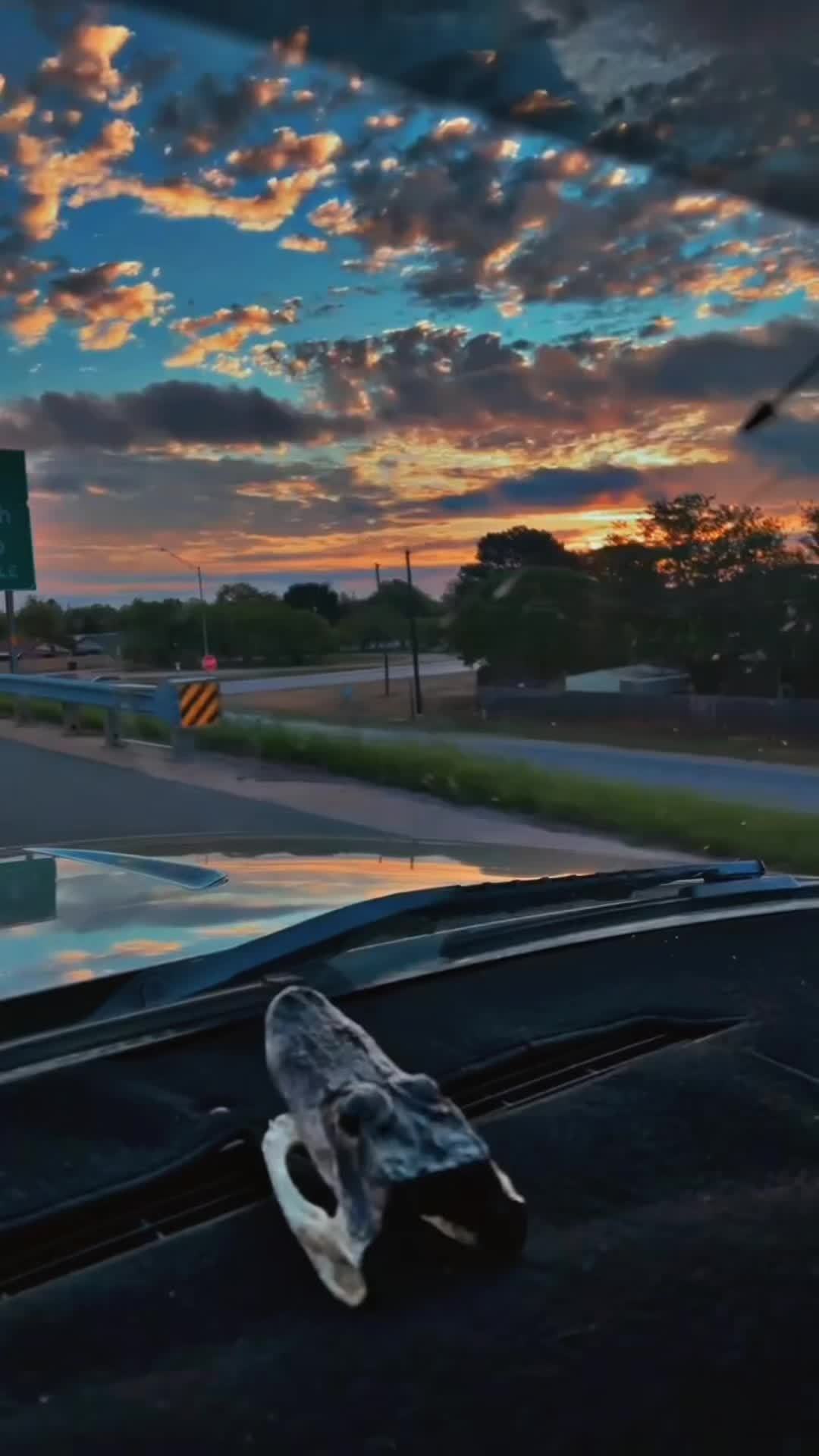 @ryanscholl87