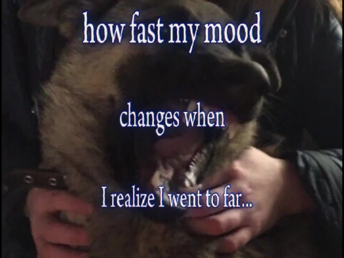 @𝘒𝘰𝘵𝘰𝘩𝘢˖