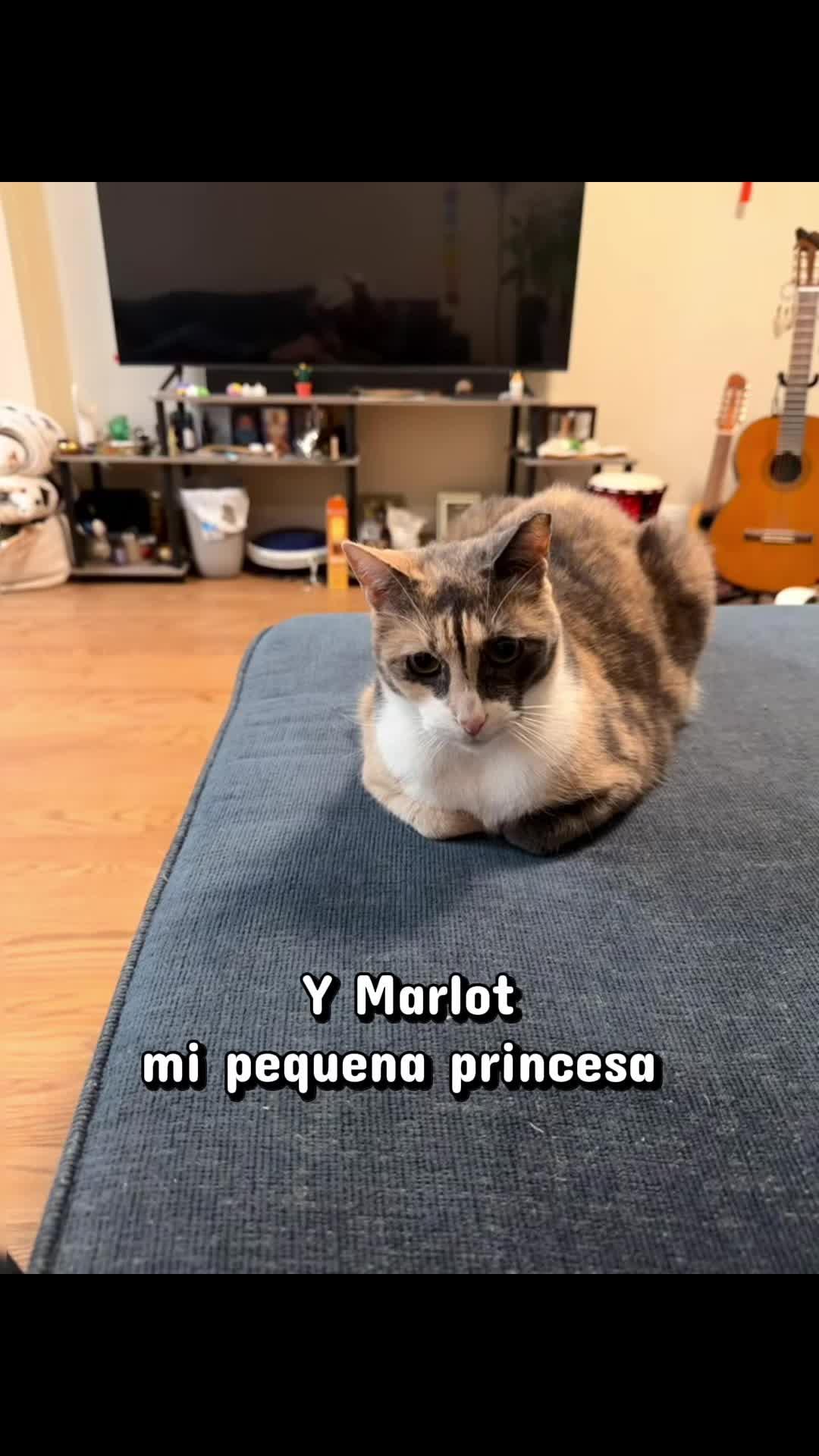 @Alepalacios105