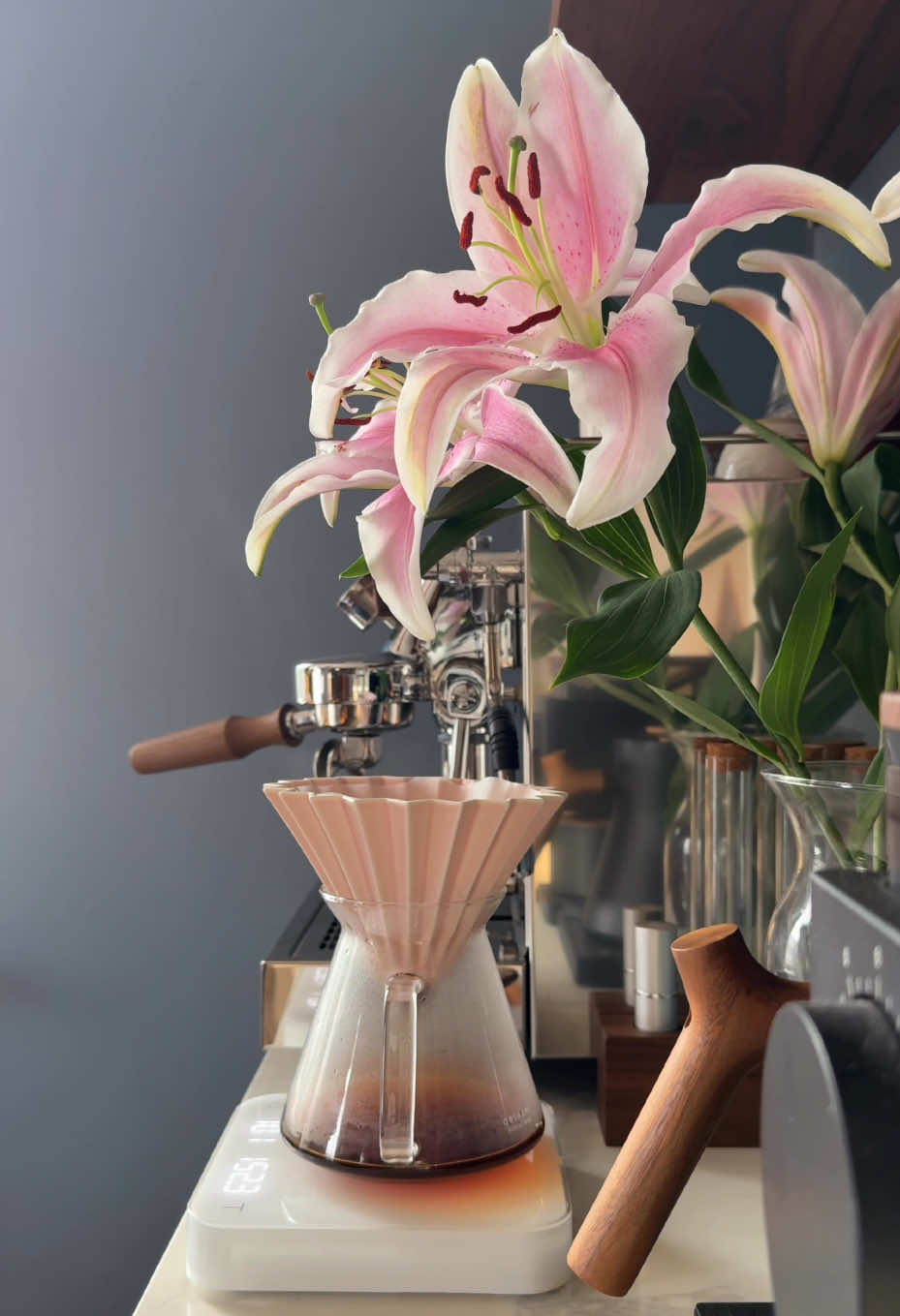 @elmaslcoffee
