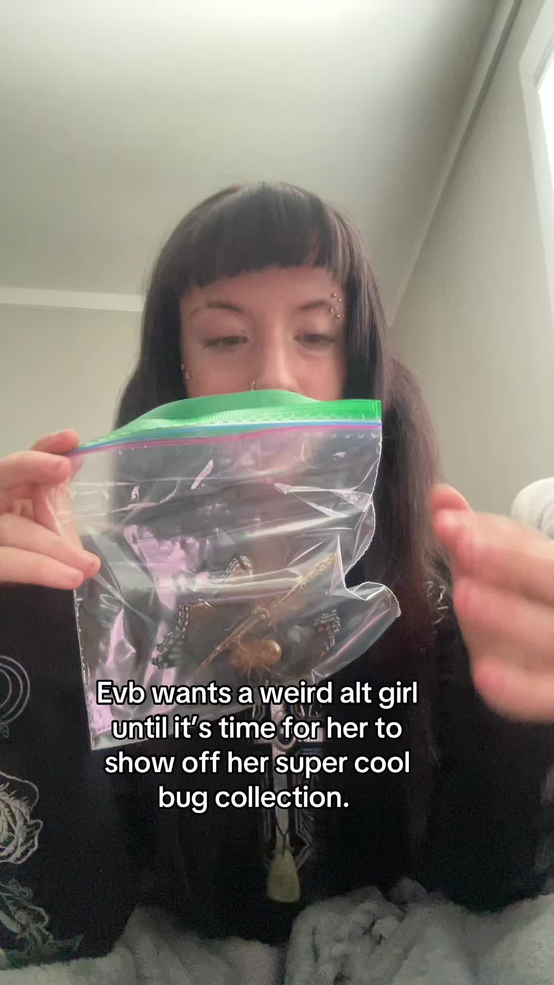 @deadgirlwifi.exe