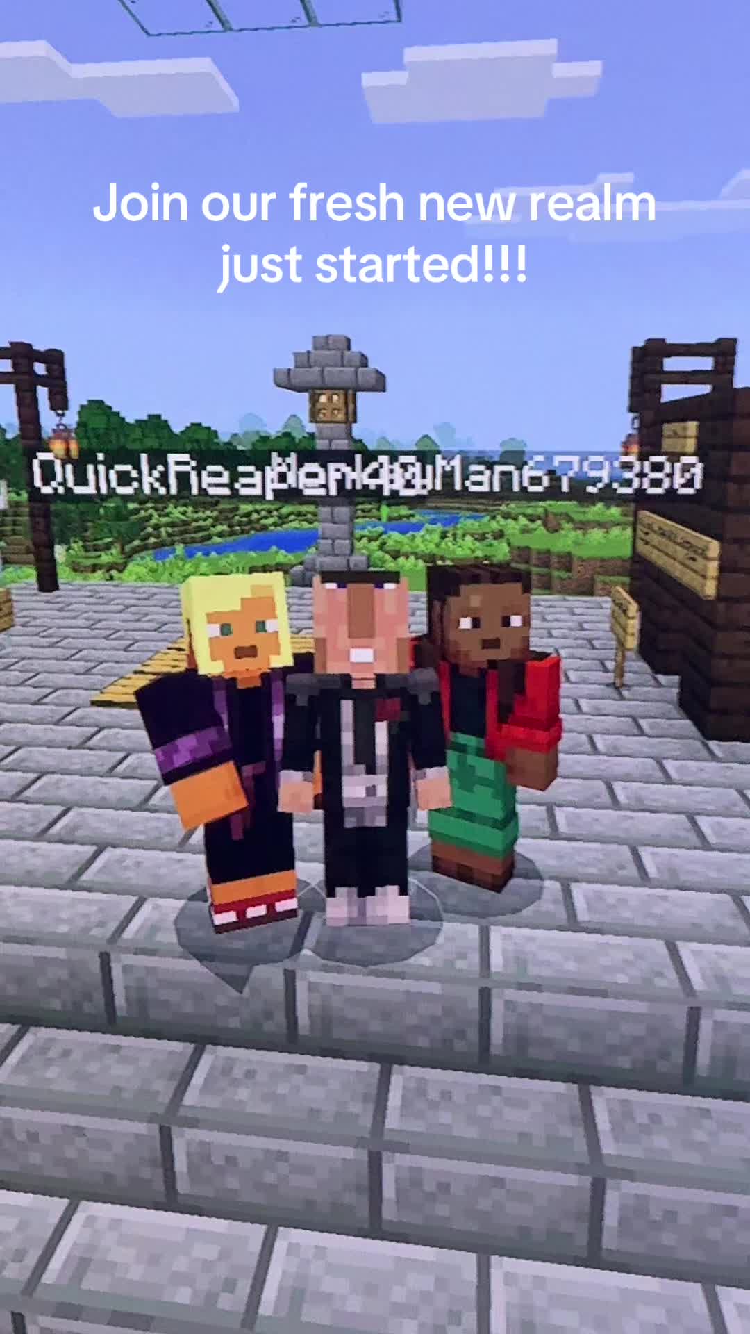 @VillagerSMP