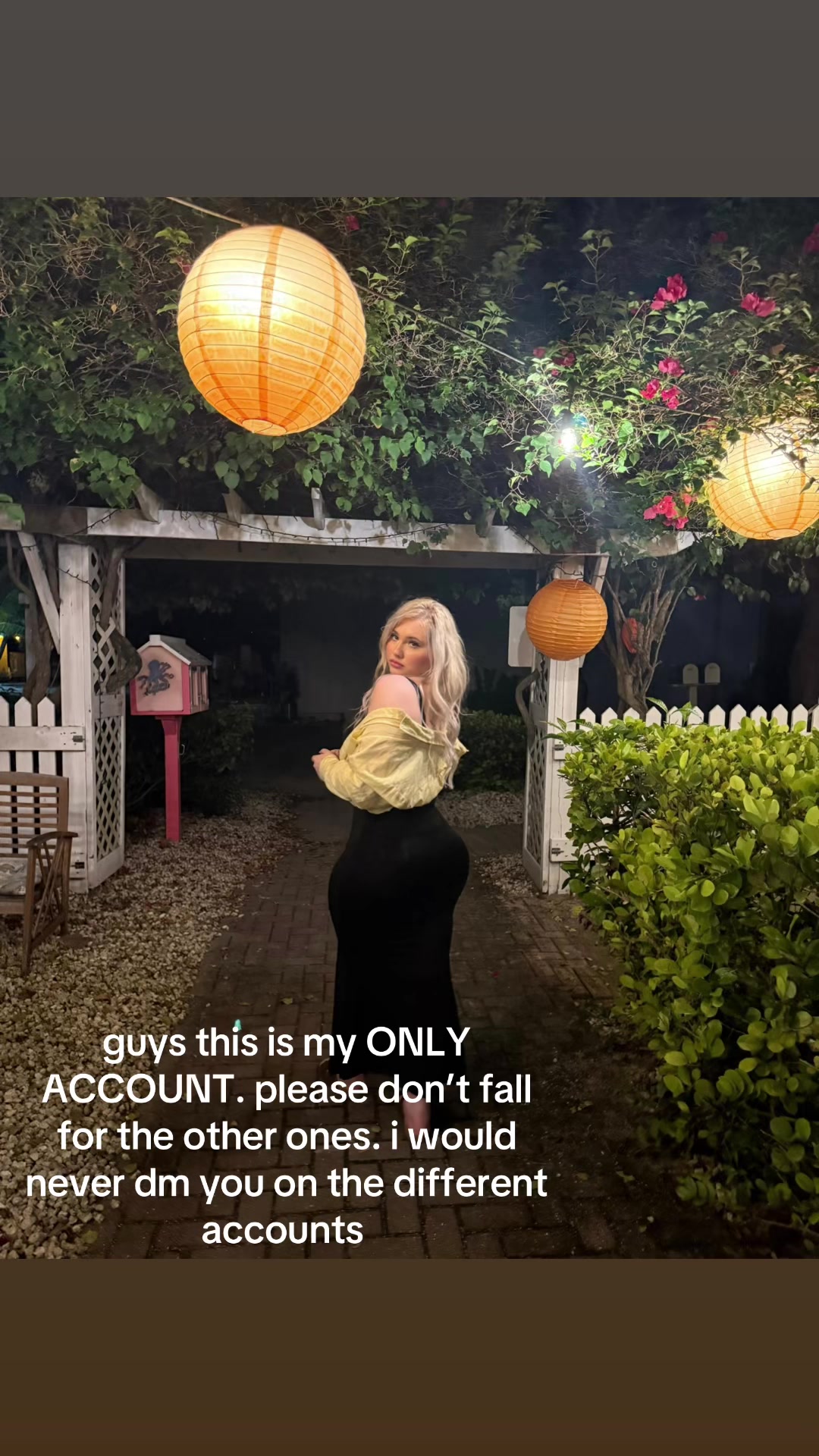 @aurora 🪽