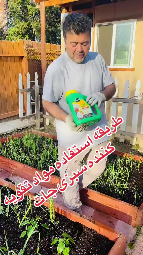 @Rahimi