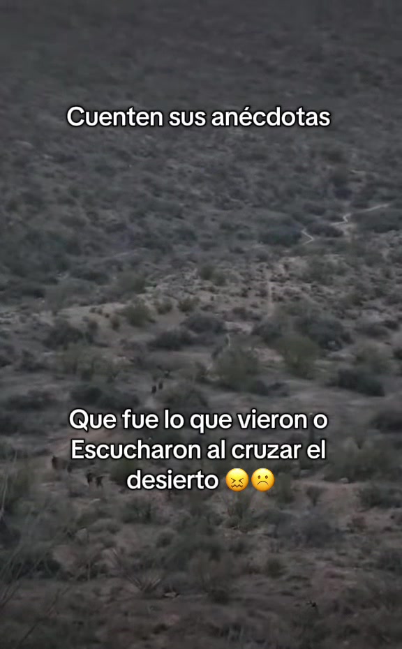 @&Auml;łēx Tejada