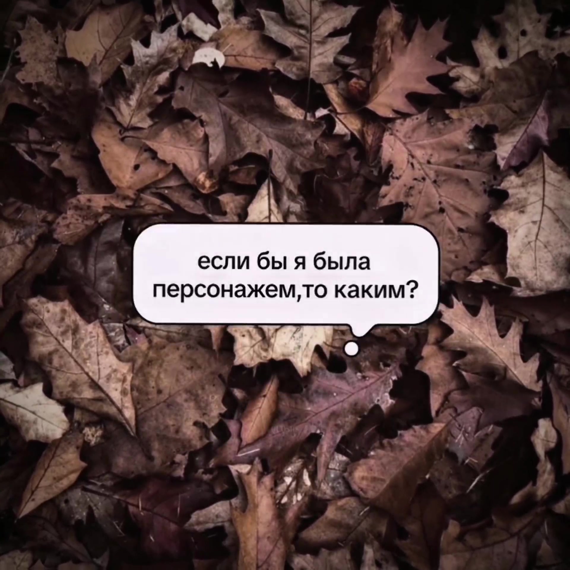 @𝗾𝘂𝗾𝘀𝗶𝗶𝘀