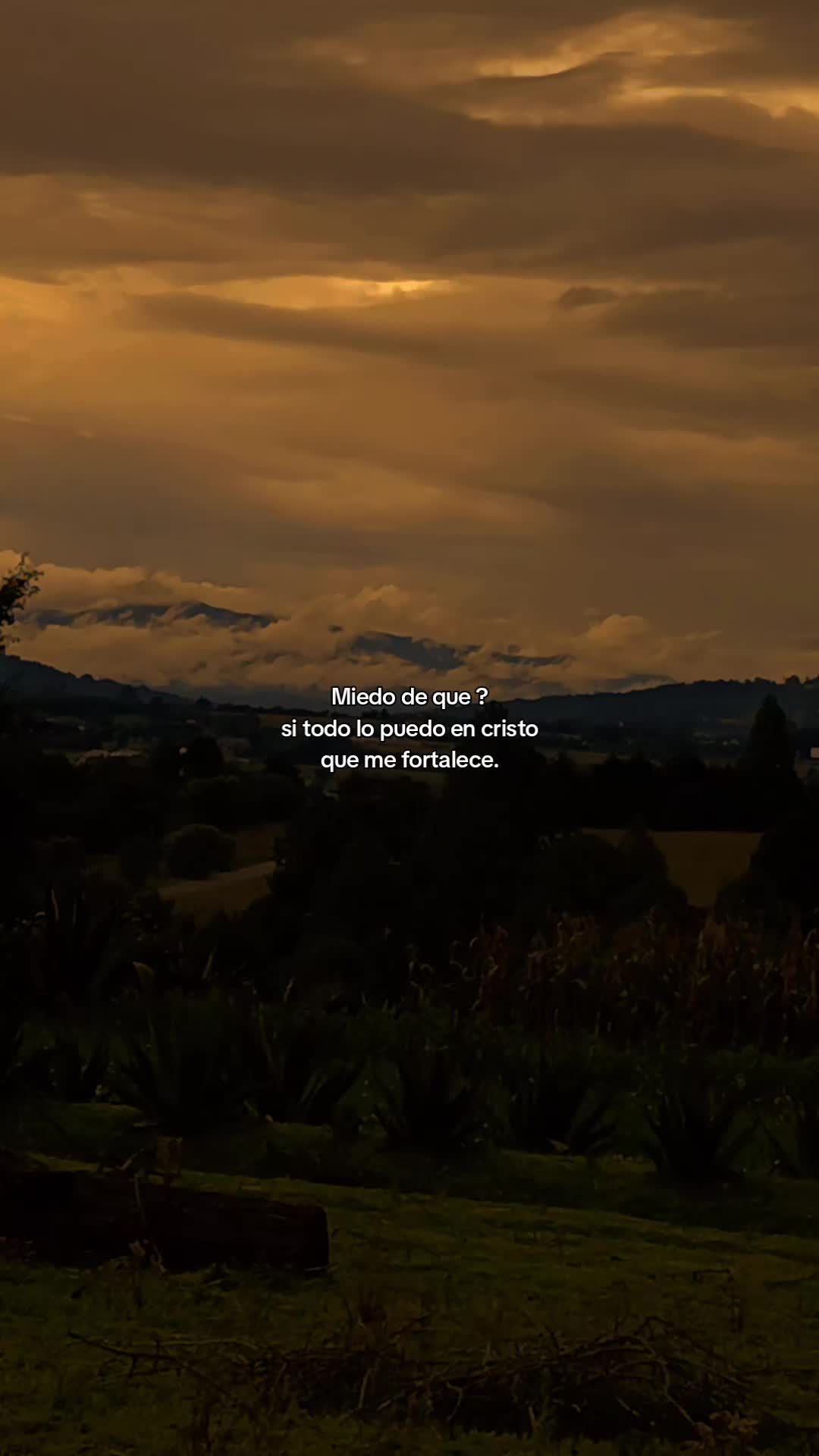 @ELIA 🤎🍁🪶