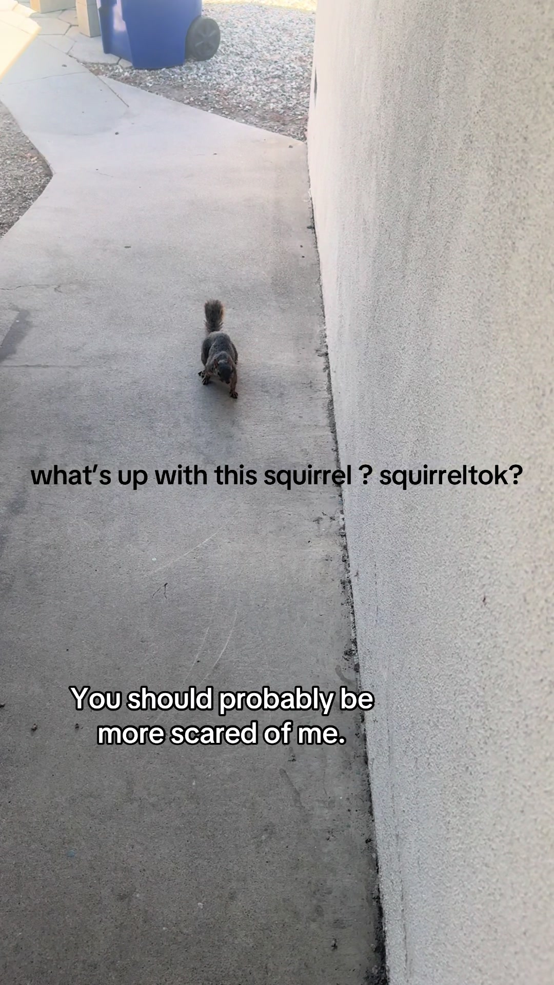 @Mal Blum