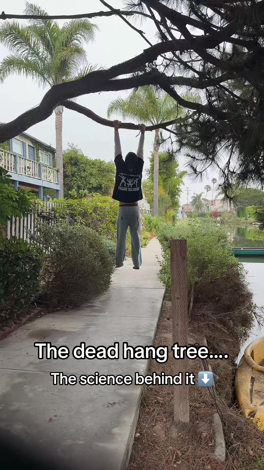@Taigberg