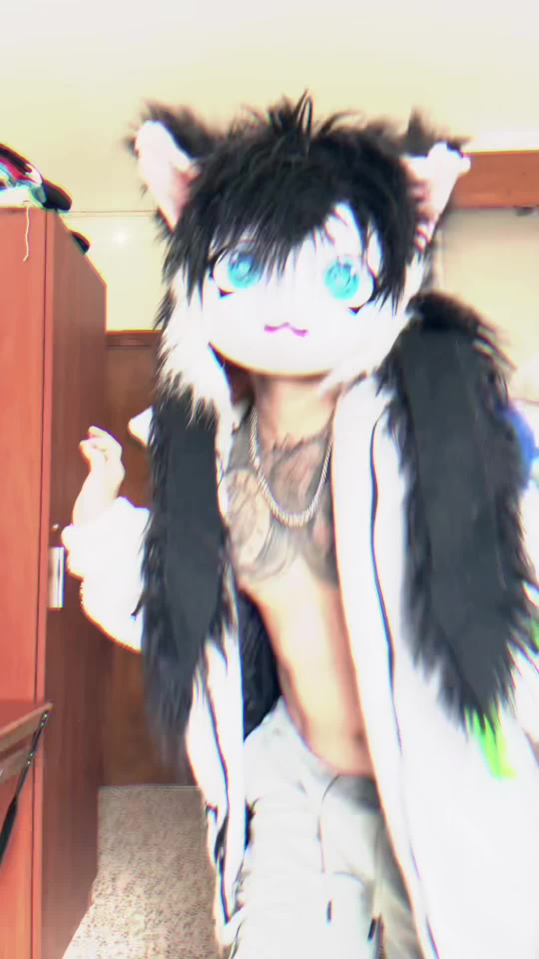 @Queer el gato🏳️🌈