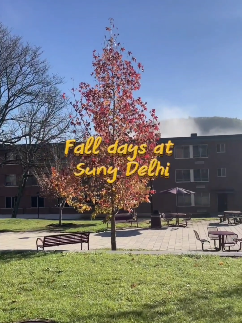 @SUNY Delhi
