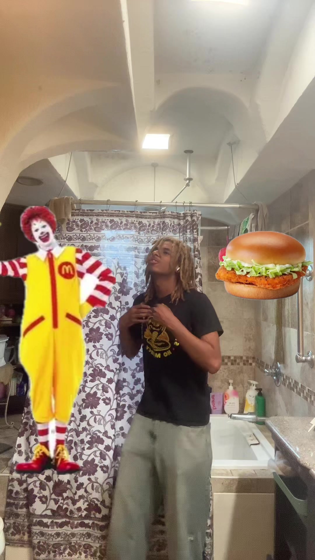 @ohbabyilovemcchickens