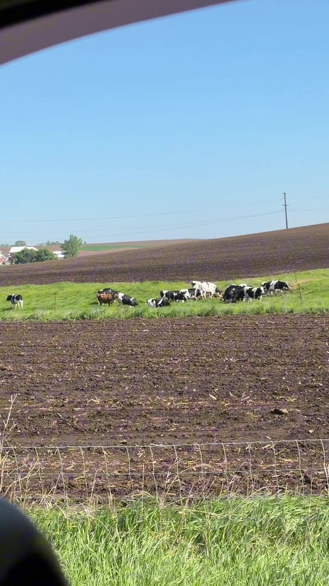 @Megan
