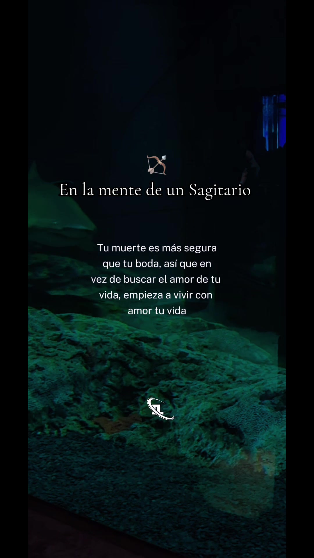 @Miris