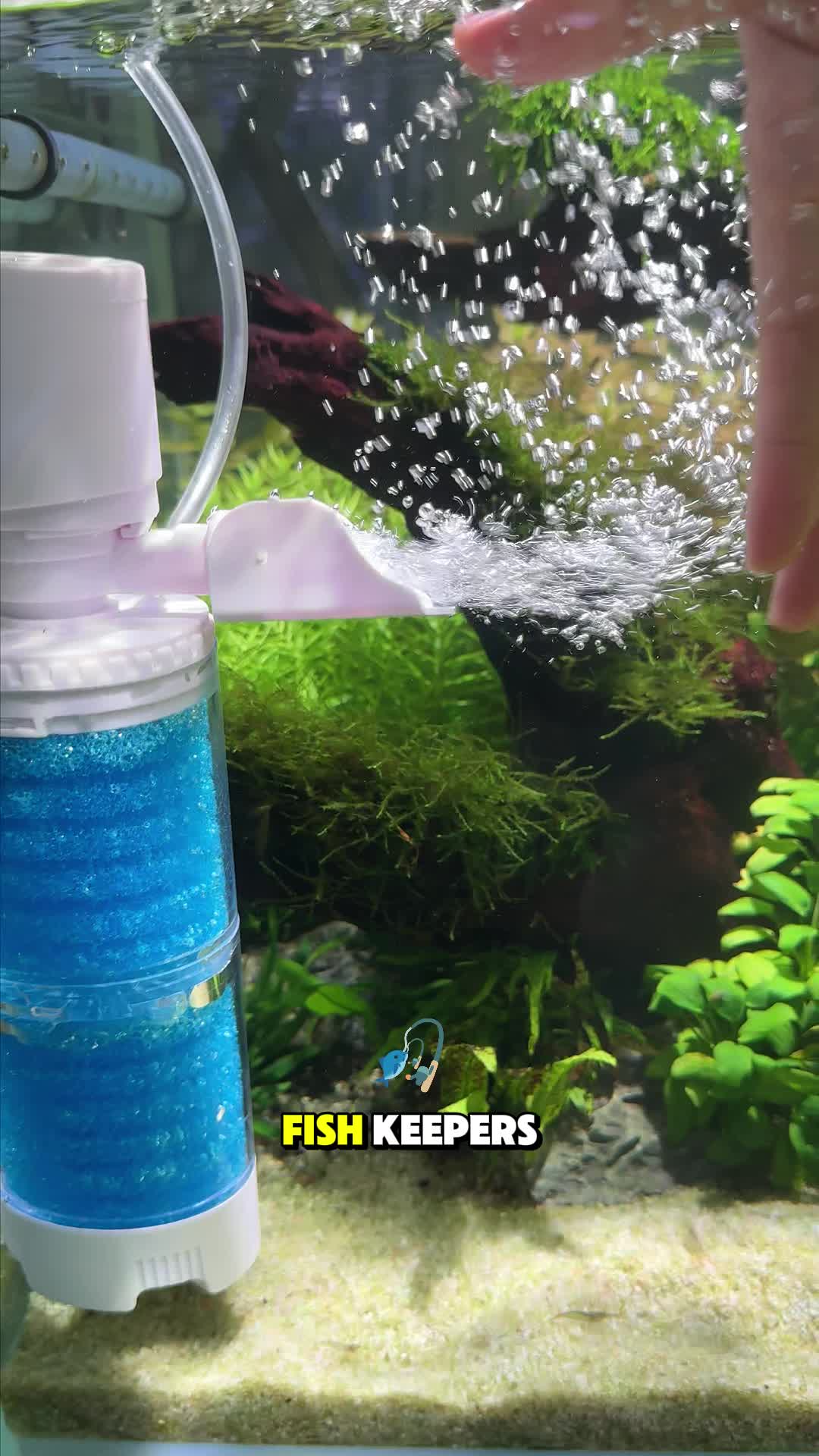 @AQQA Aquarium Store
