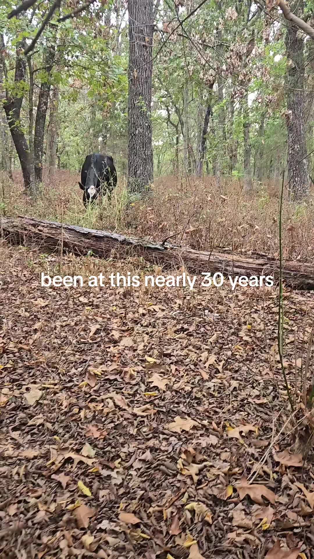 @Matthew