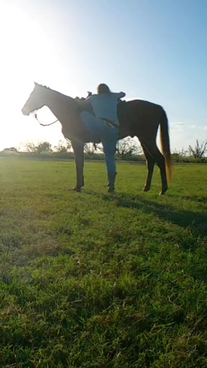 @Tetris_eq