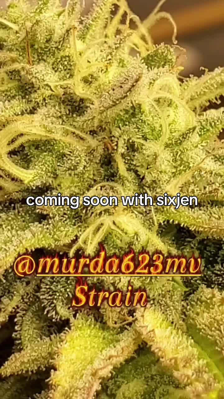 @Murda623MV