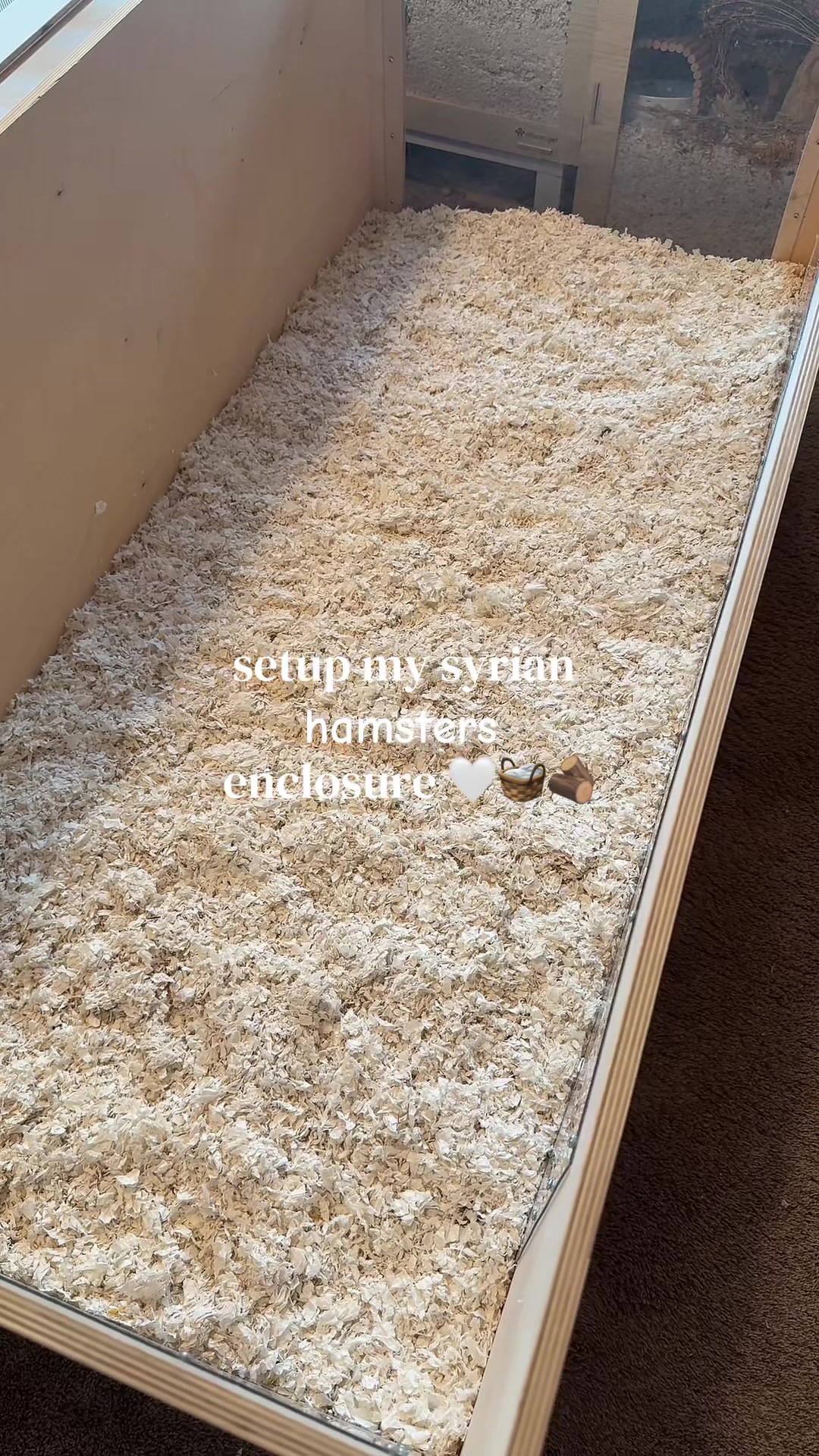 @alexa🤍🐾