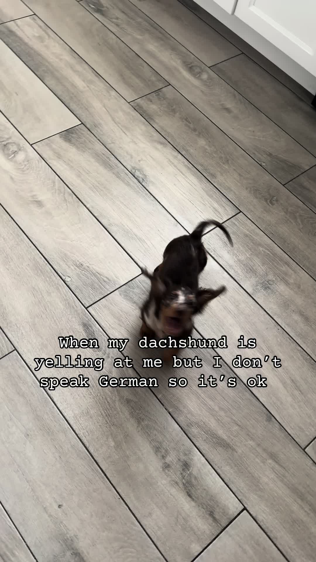 @ashlyn ๐