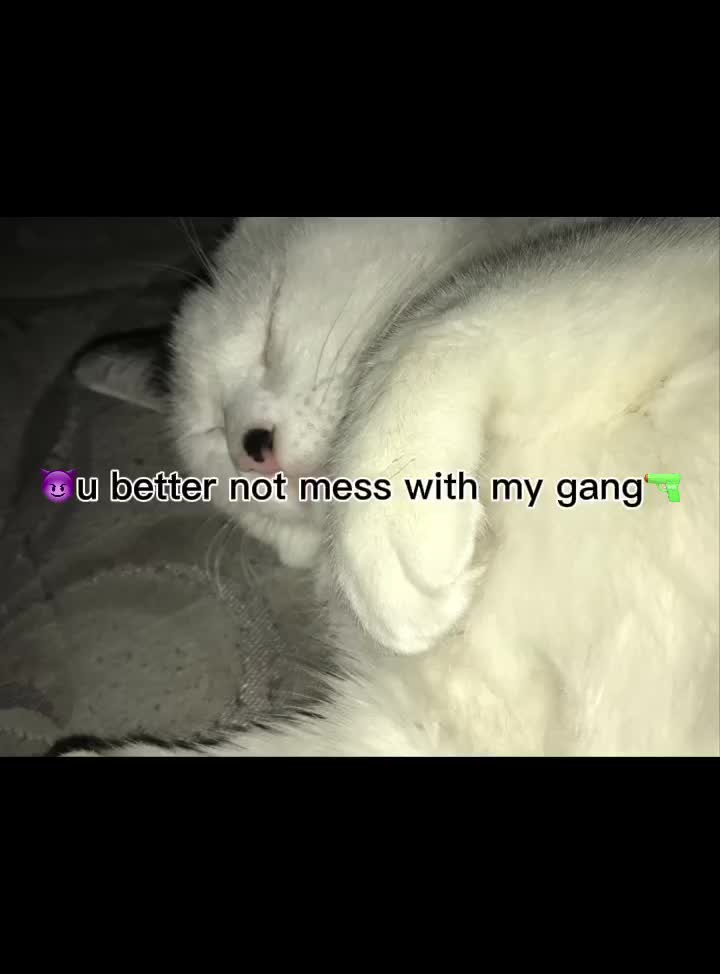 @senyiah