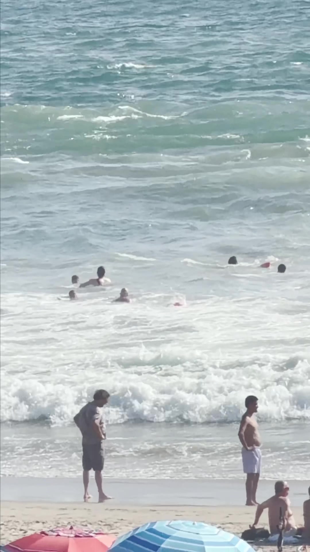 @lacolifeguards